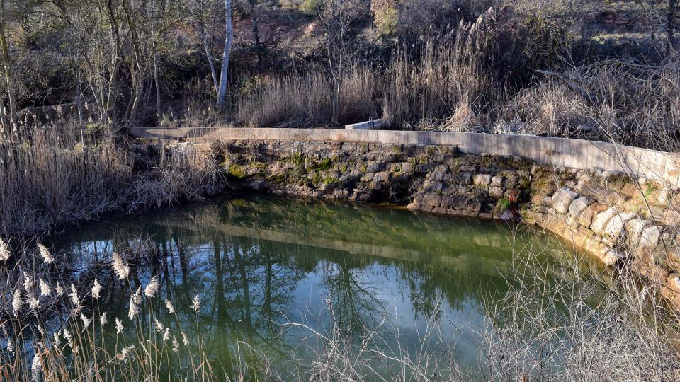 29 de Gener de 2017 peixera  Fontanet -  Ramon Sunyer