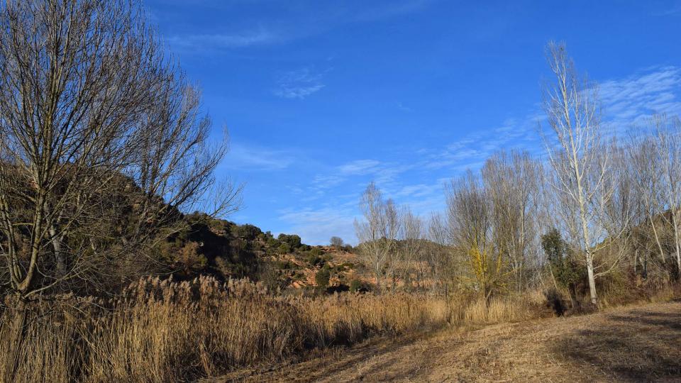 29.1.2017 peixera  Fontanet -  Ramon Sunyer