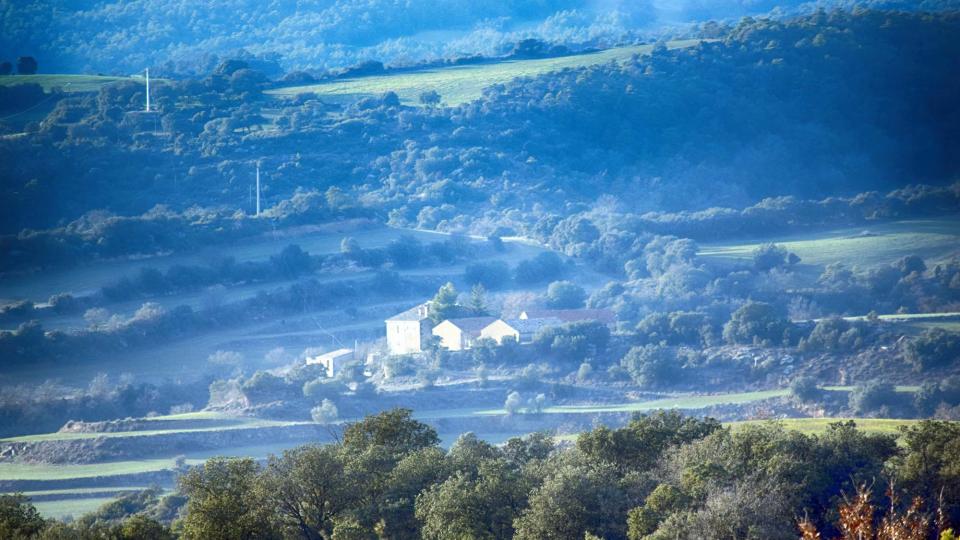 29 de Gener de 2017 Marquilles  Vallferosa -  Ramon Sunyer