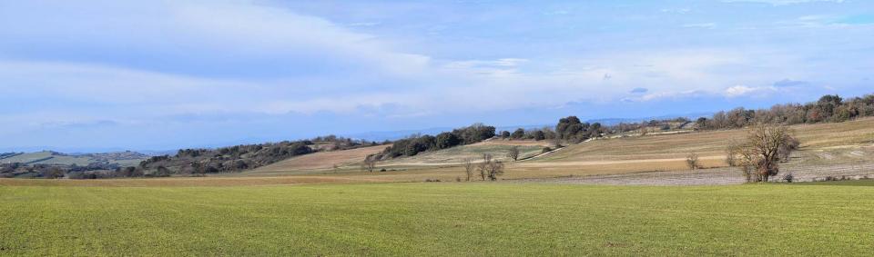 29 de Gener de 2017 Plans de Millars  Castellfollit de Riubregós -  Ramon Sunyer