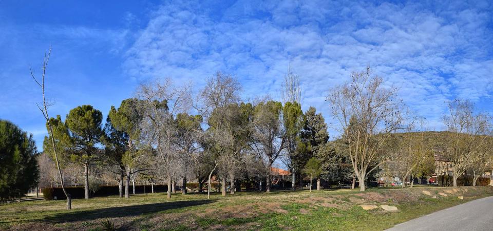 29 de Gener de 2017 Parc  Torà -  Ramon Sunyer