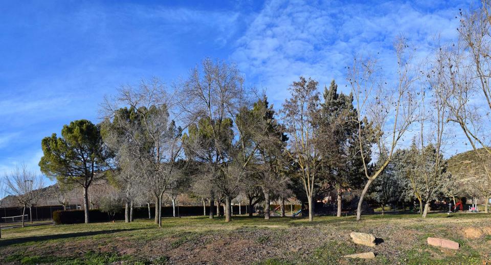 29 de Gener de 2017 Parc  Torà -  Ramon Sunyer