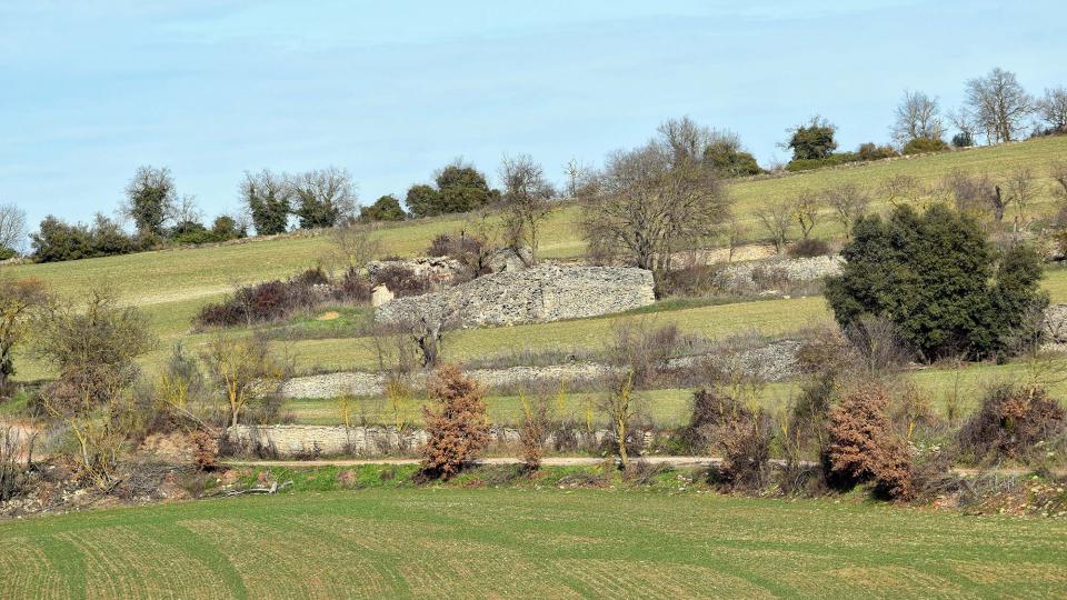 29 de Gener de 2017   Castellfollit de Riubregós -  Ramon Sunyer