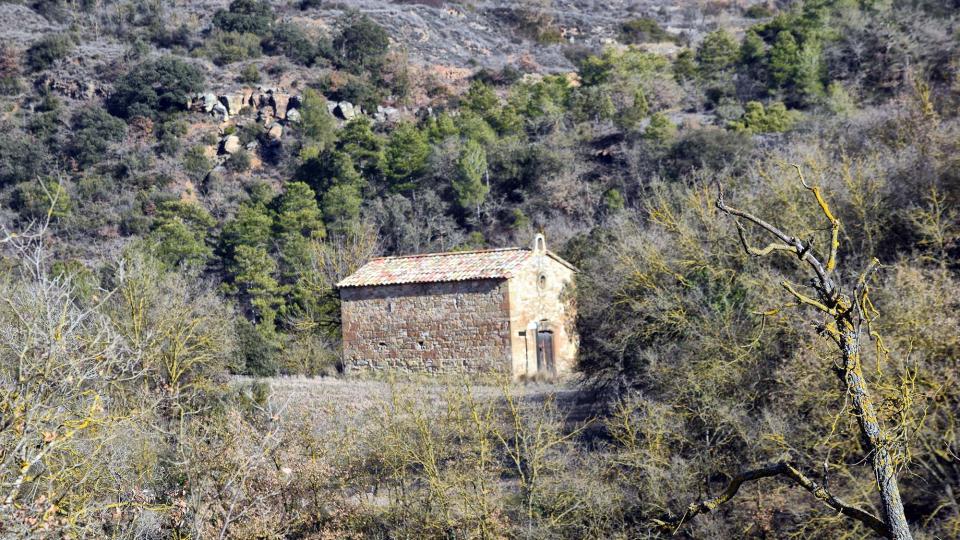 29.1.2017 Sant pere de Magrà  Castellfollit de Riubregós -  Ramon Sunyer