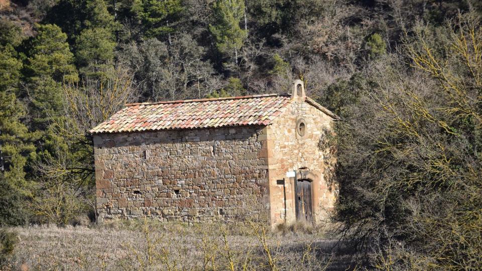 29 de Gener de 2017 Sant pere de Magrà  Castellfollit de Riubregós -  Ramon Sunyer