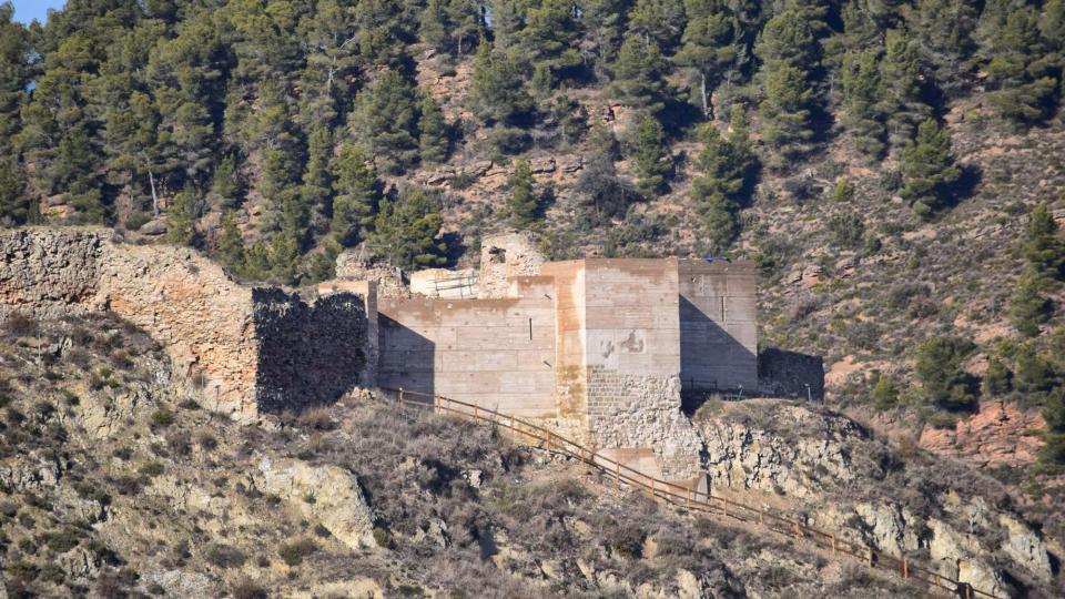 29 de Gener de 2017 Castell de sant Vicenç  Castellfollit de Riubregós -  Ramon Sunyer