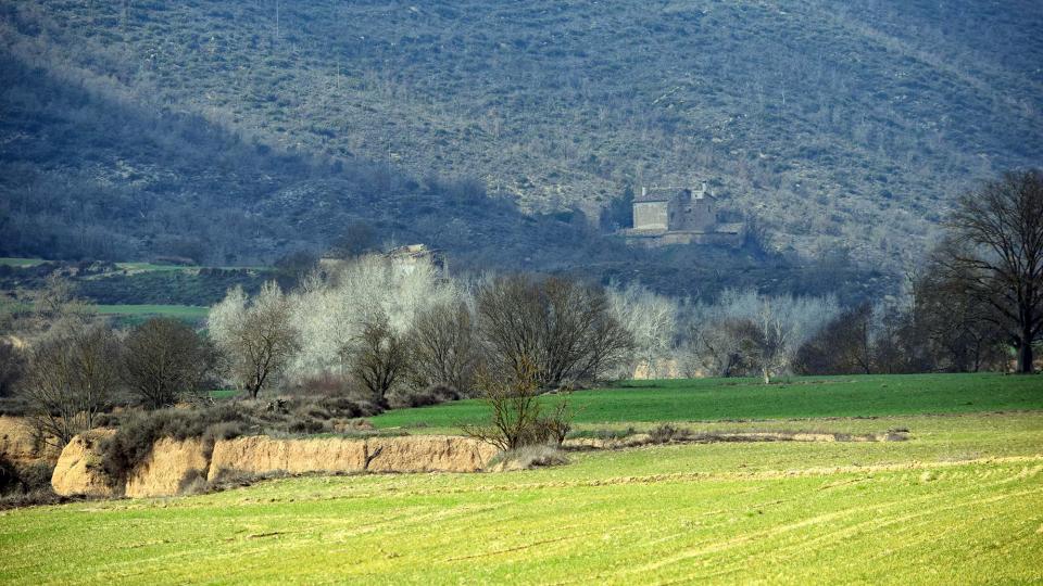 19 de Febrer de 2017 Mas Piquer  Puig-Arner -  Ramon Sunyer