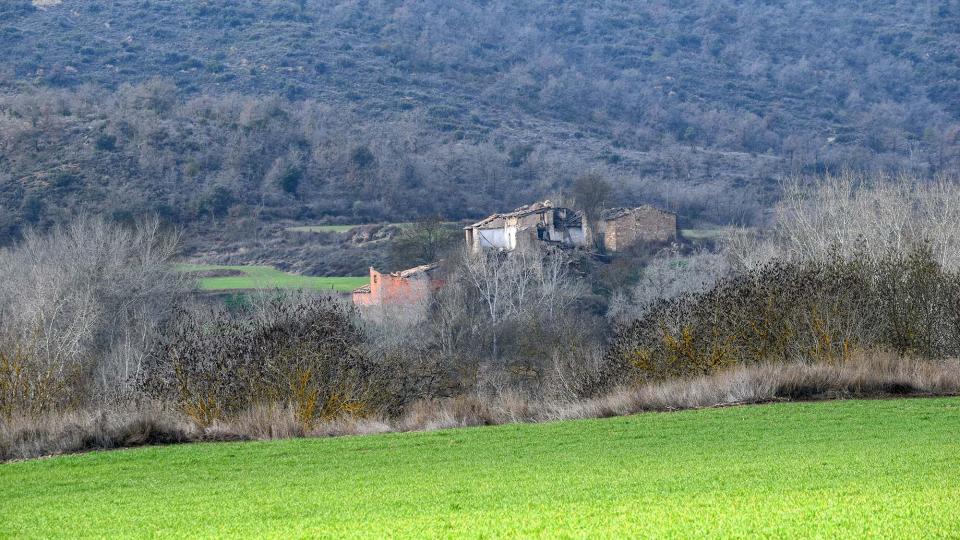 19 de Febrer de 2017 Mas Piquer  Puig-Arner -  Ramon Sunyer