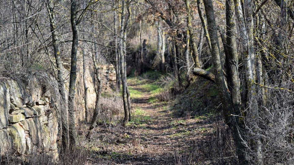 19 de Febrer de 2017   Granollers -  Ramon Sunyer