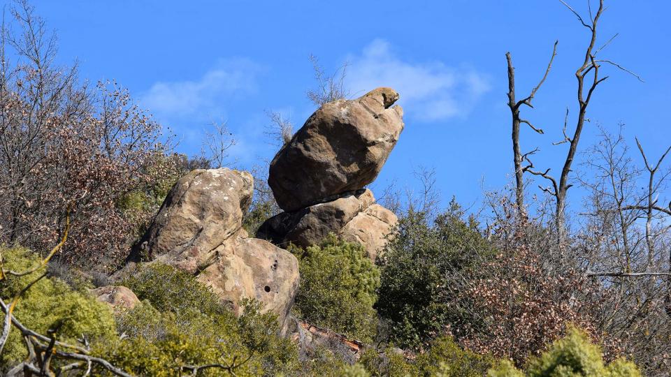 18 de Febrer de 2017   Ardèvol -  Ramon Sunyer