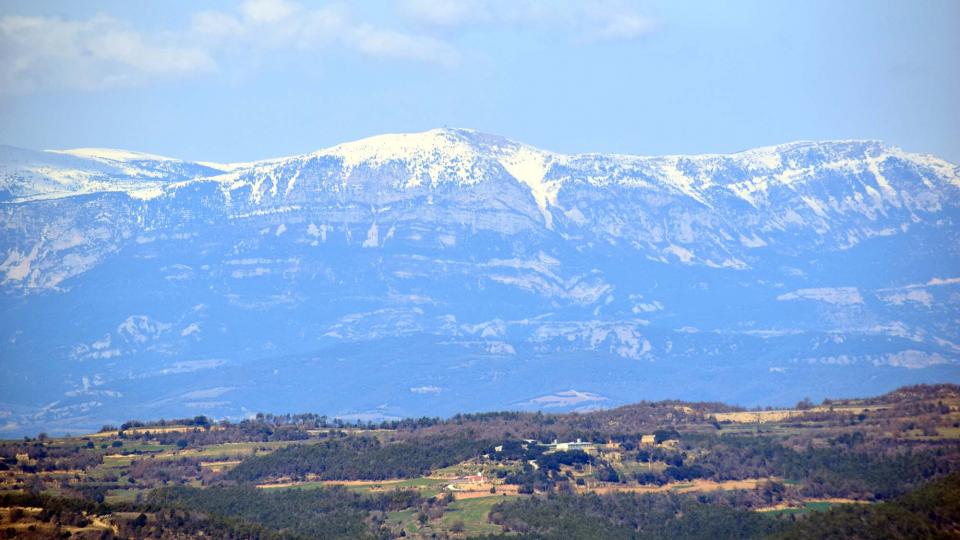 18 de Febrer de 2017   Ardèvol -  Ramon Sunyer