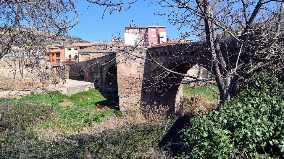 19.3.2017 pont medieval  Sanaüja -  Ramon Sunyer