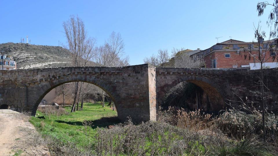 19 de Març de 2017 pont medieval  Sanaüja -  Ramon Sunyer