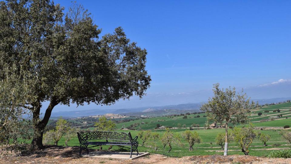 19 de Març de 2017 mirador de mas Ramon  Selvanera -  Ramon Sunyer