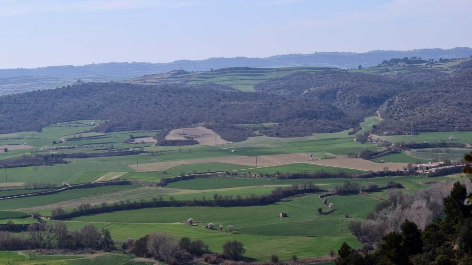 12 de Març de 2017   L'Aguda -  Ramon Sunyer