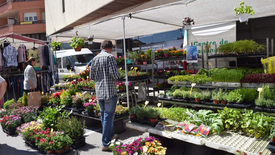 14.4.2017 Planters i flors a la plaça de la Creu  Torà -  Ramon Sunyer