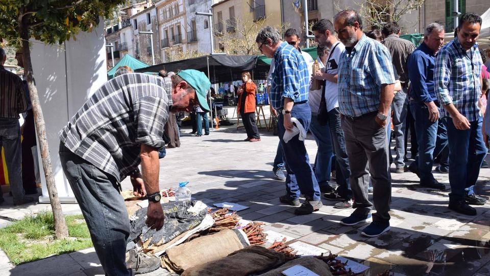 14.4.2017 Planter de ceps  Torà -  Ramon Sunyer