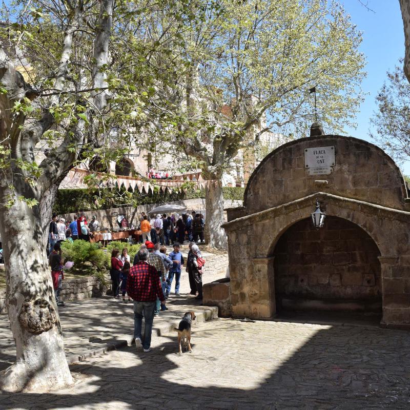 14.4.2017 plaça de la Font  Torà -  Ramon Sunyer