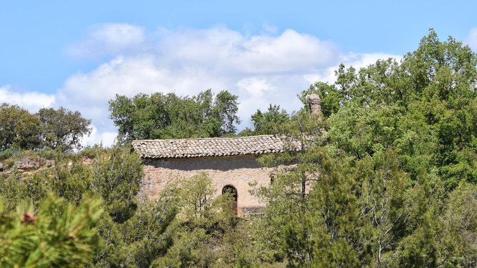 7 de Maig de 2017 Església de Sant Miquel  Vallmanya -  Ramon Sunyer