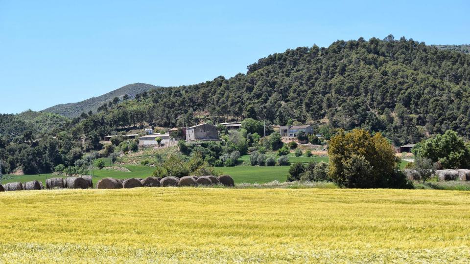 7 de Maig de 2017 mas  Pinós -  Ramon Sunyer