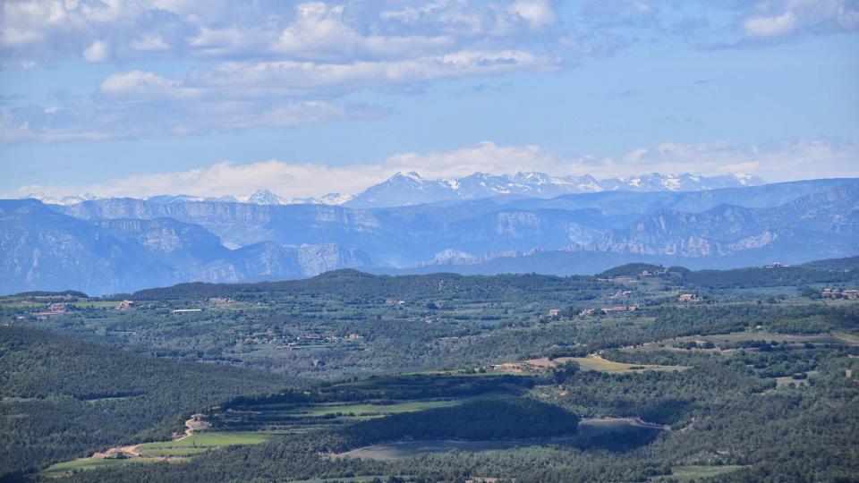 7 de Maig de 2017   Pinós -  Ramon Sunyer