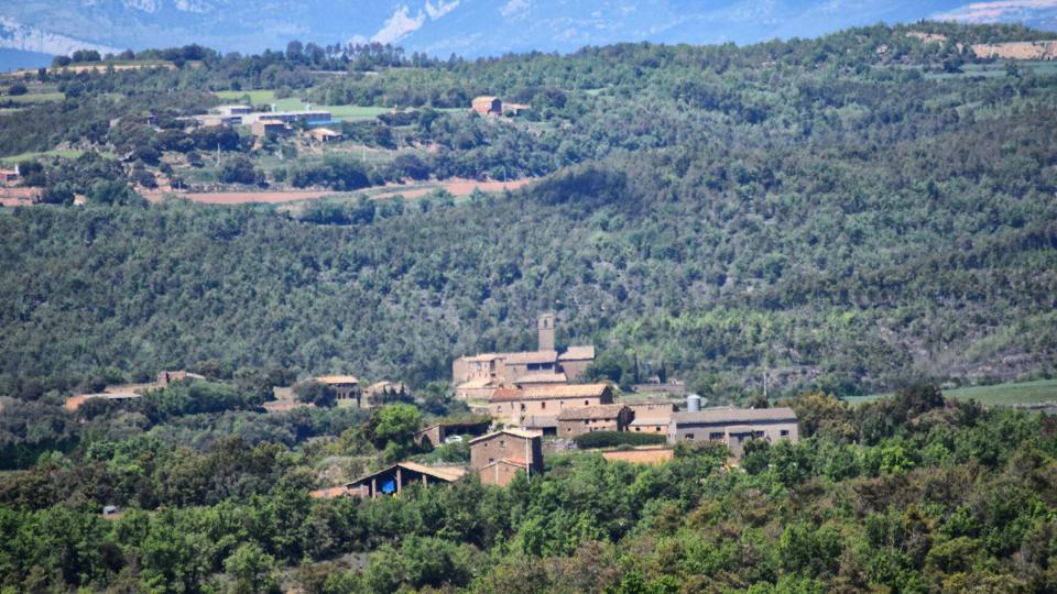 7 de Maig de 2017   Sant Just d'Ardèvol -  Ramon Sunyer