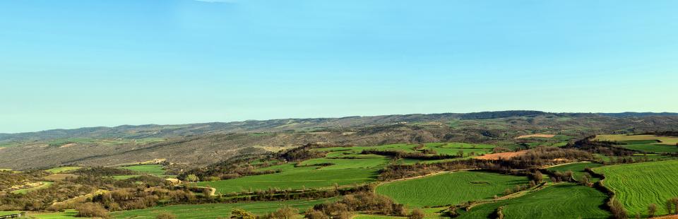 08.04.2017 paisatge  Pinós -  Ramon Sunyer