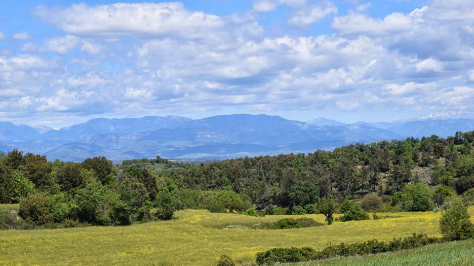 7 de Maig de 2017 paisatge  Prades de la Molsosa -  Ramon Sunyer