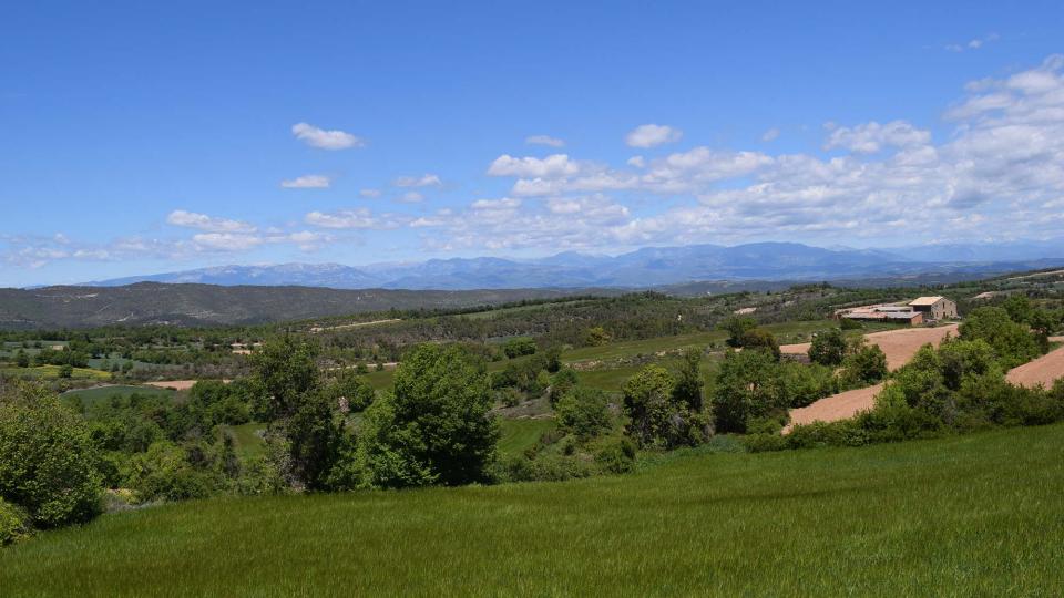 7 de Maig de 2017 paisatge  Prades de la Molsosa -  Ramon Sunyer