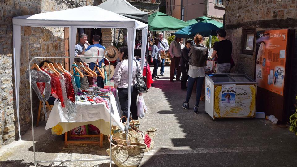 7 de Maig de 2017   Prades de la Molsosa -  Ramon Sunyer