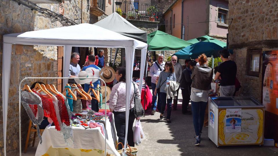 7 de Maig de 2017   Prades de la Molsosa -  Ramon Sunyer