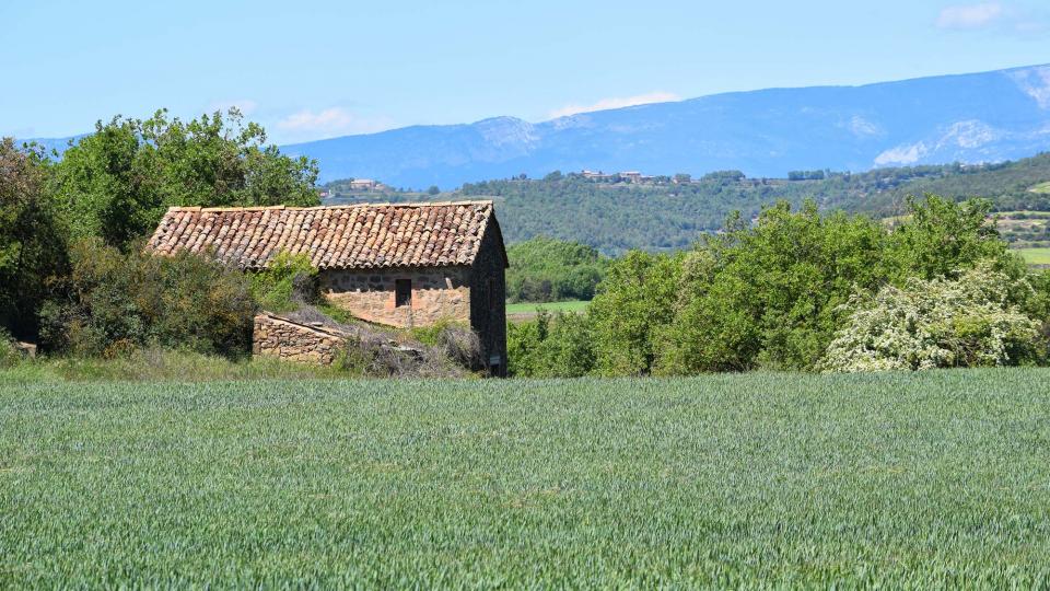 7 de Maig de 2017 Cabana  Sant Serni -  Ramon Sunyer