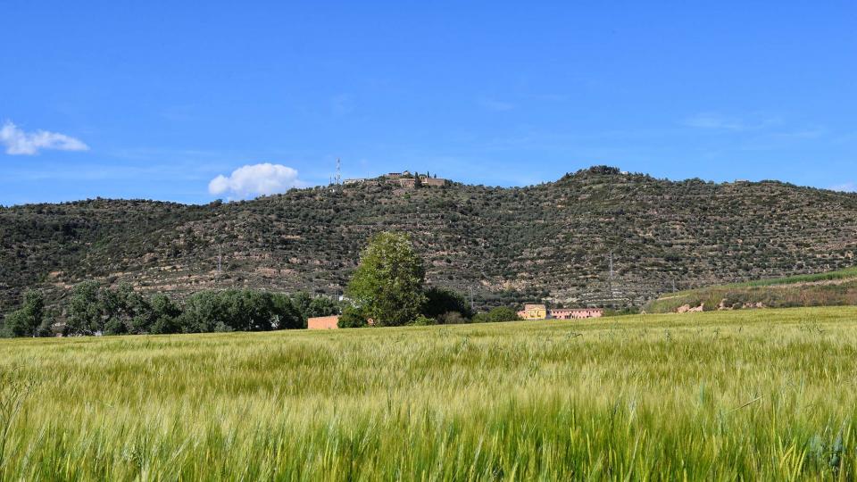 7 de Maig de 2017 Ordia  Torà -  Ramon Sunyer