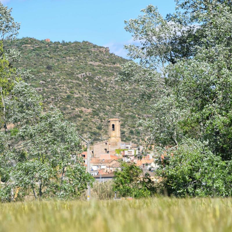 7 de Maig de 2017 vista  Torà -  Ramon Sunyer