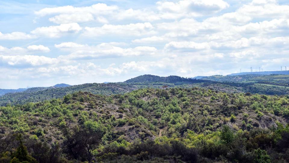 29 de Abril de 2017 paisatge als Empalous  Torà -  Ramon Sunyer