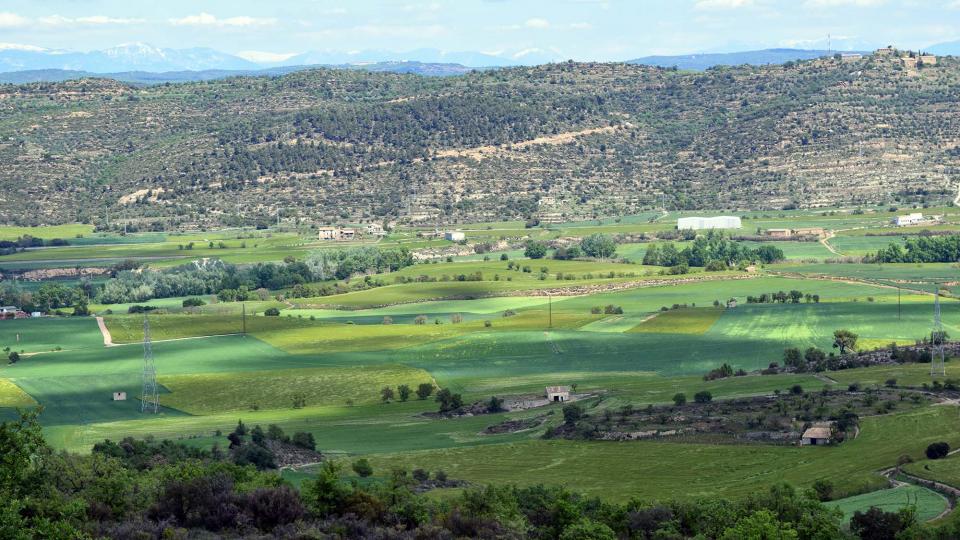 29 de Abril de 2017 paisatge a les Torrovelles  Torà -  Ramon Sunyer