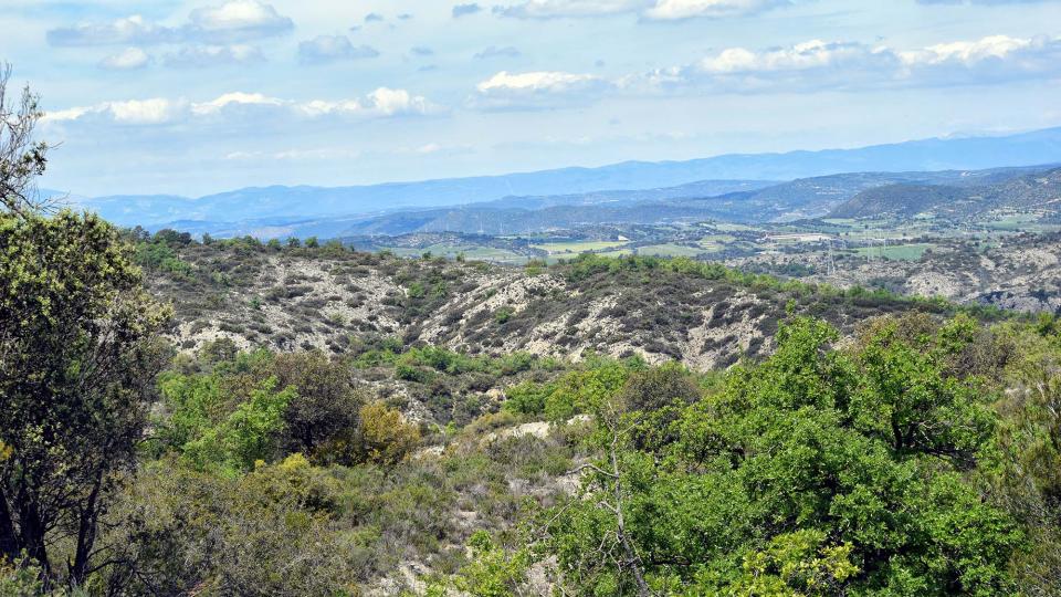 29 de Abril de 2017 paisatge  Torà -  Ramon Sunyer