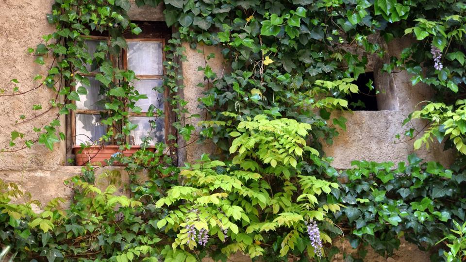 29 de Abril de 2017 Carrer Vilavella  Torà -  Ramon Sunyer