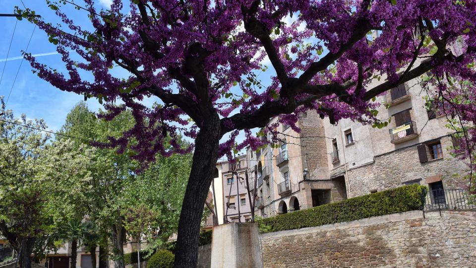 29.4.2017 Plaça de la Font  Torà -  Ramon Sunyer