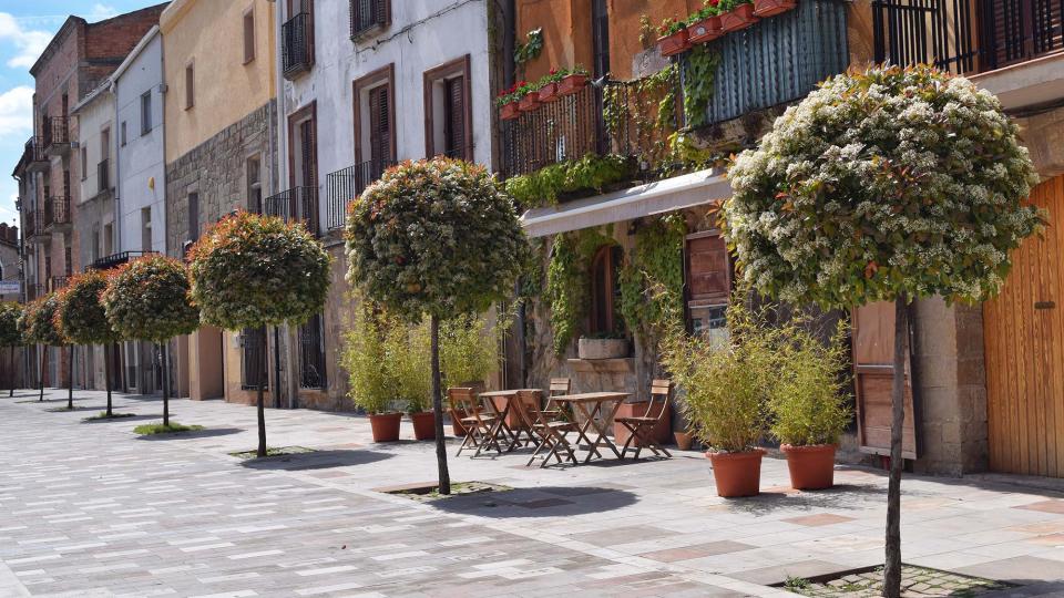 29.4.2017 Plaça del Vall  Torà -  Ramon Sunyer