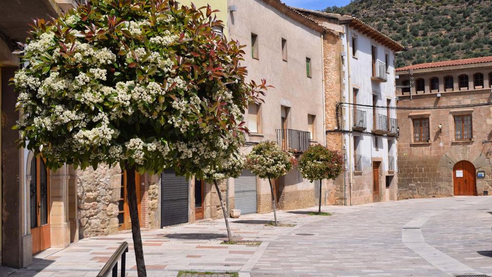 29 de Abril de 2017 Plaça del Vall  Torà -  Ramon Sunyer