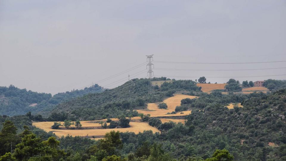 24.6.2017   Torà -  Ramon Sunyer