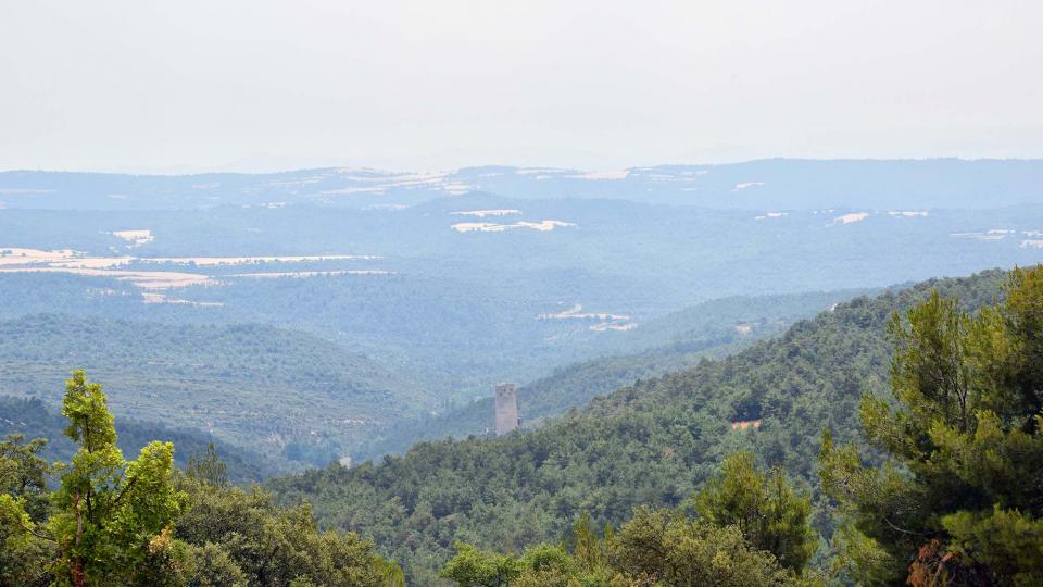 24.6.2017   Vallferosa -  Ramon Sunyer