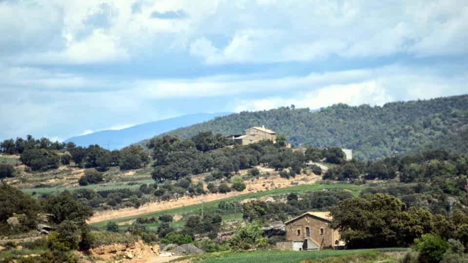 1 de Maig de 2017   Lloberola -  Ramon Sunyer