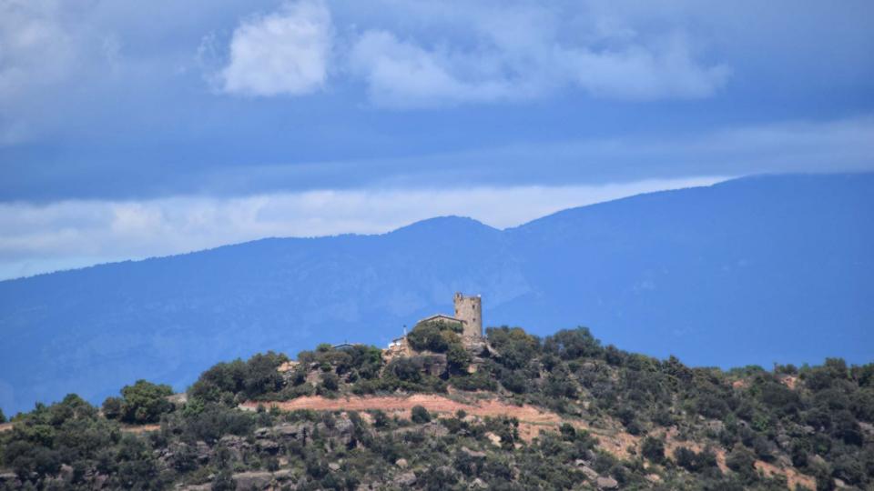 1.5.2017   Lloberola -  Ramon Sunyer