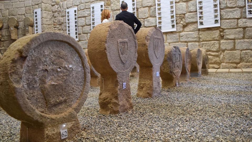 10 de Setembre de 2017 Esteles funeràries  Sanaüja -  Ramon Sunyer