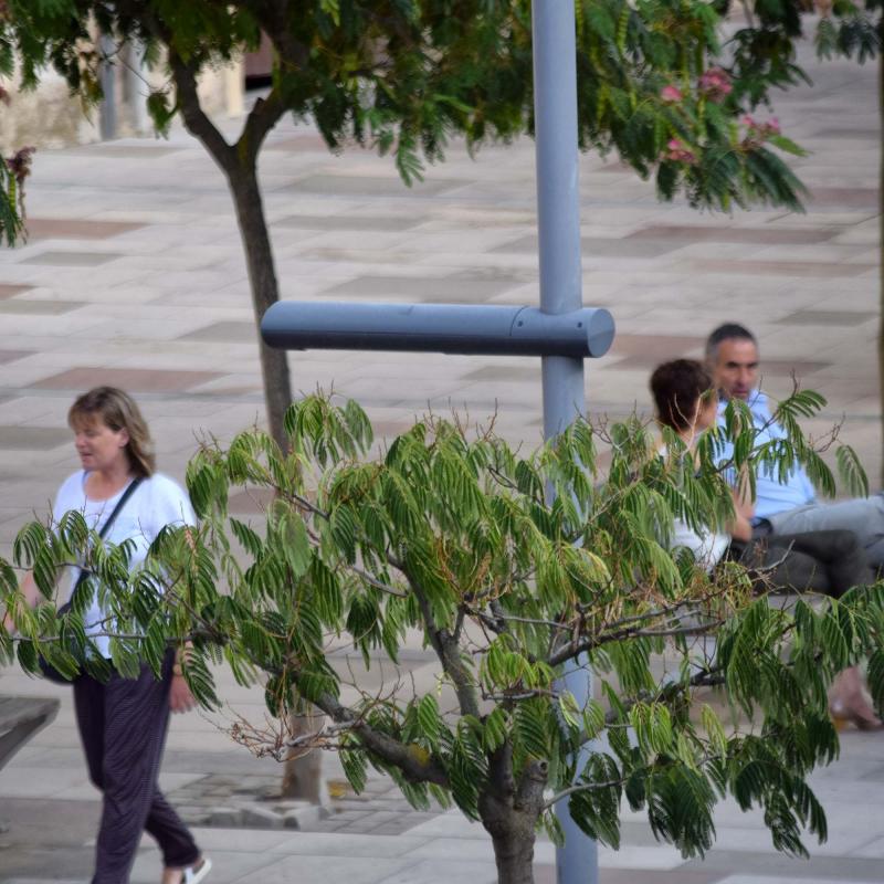 3 de Setembre de 2017 Plaça del Vall  Torà -  Ramon Sunyer