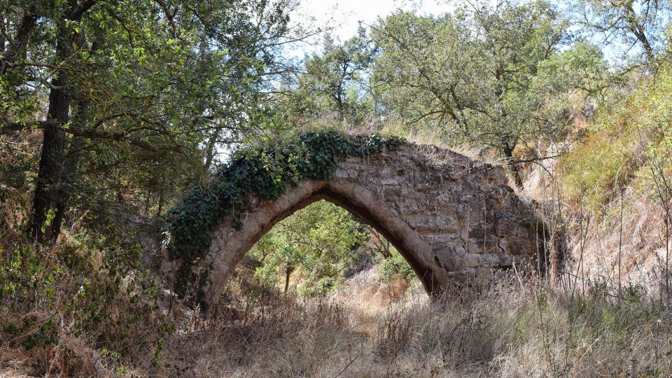 11 de Setembre de 2017 Pontet del Diable o de la Sentiu. Aquest aqüeducte és l’única construcció visible de l’antic rec dels Moriquers.  Torà -  Ramon Sunyer