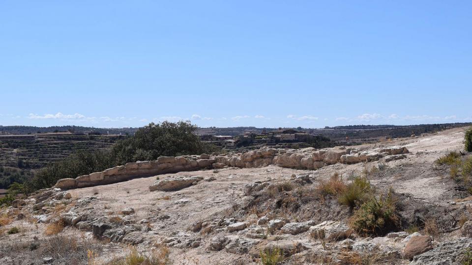 11 de Setembre de 2017 Jaciment romà de Puig_Castellar  Biosca -  Ramon Sunyer