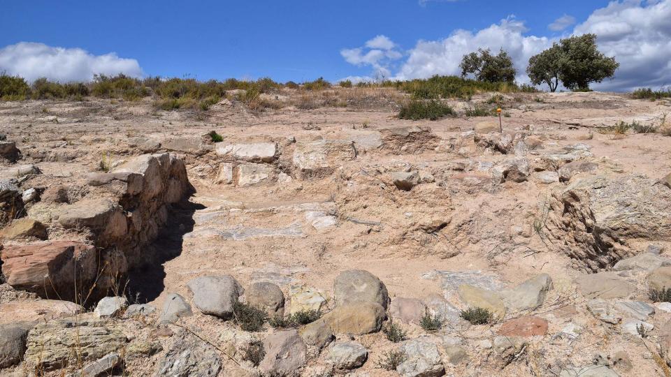 11 de Setembre de 2017 Jaciment romà de Puig_Castellar  Biosca -  Ramon Sunyer